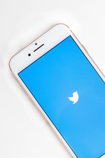 Cómo Usar Twitter para Promoción y Compromiso de Negocios
